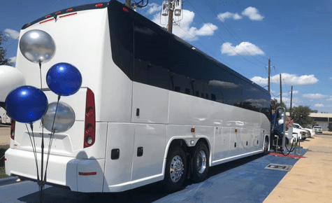 Rear view of a white and black luxury coach decorated with balloons and a red carpet entrance